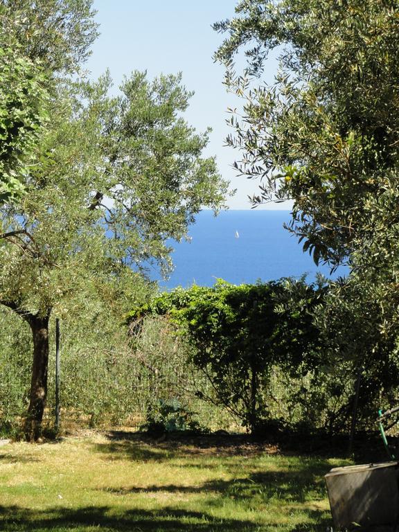 Camping Ali Baba チェリアーレ エクステリア 写真